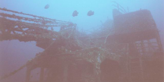 Dive With South Florida Diving Headquarters